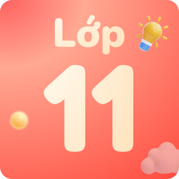 Khóa học lớp 11